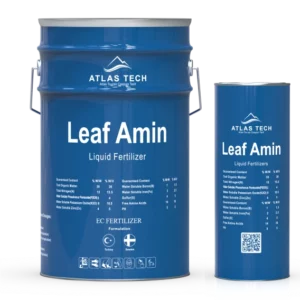 Leaf Amin